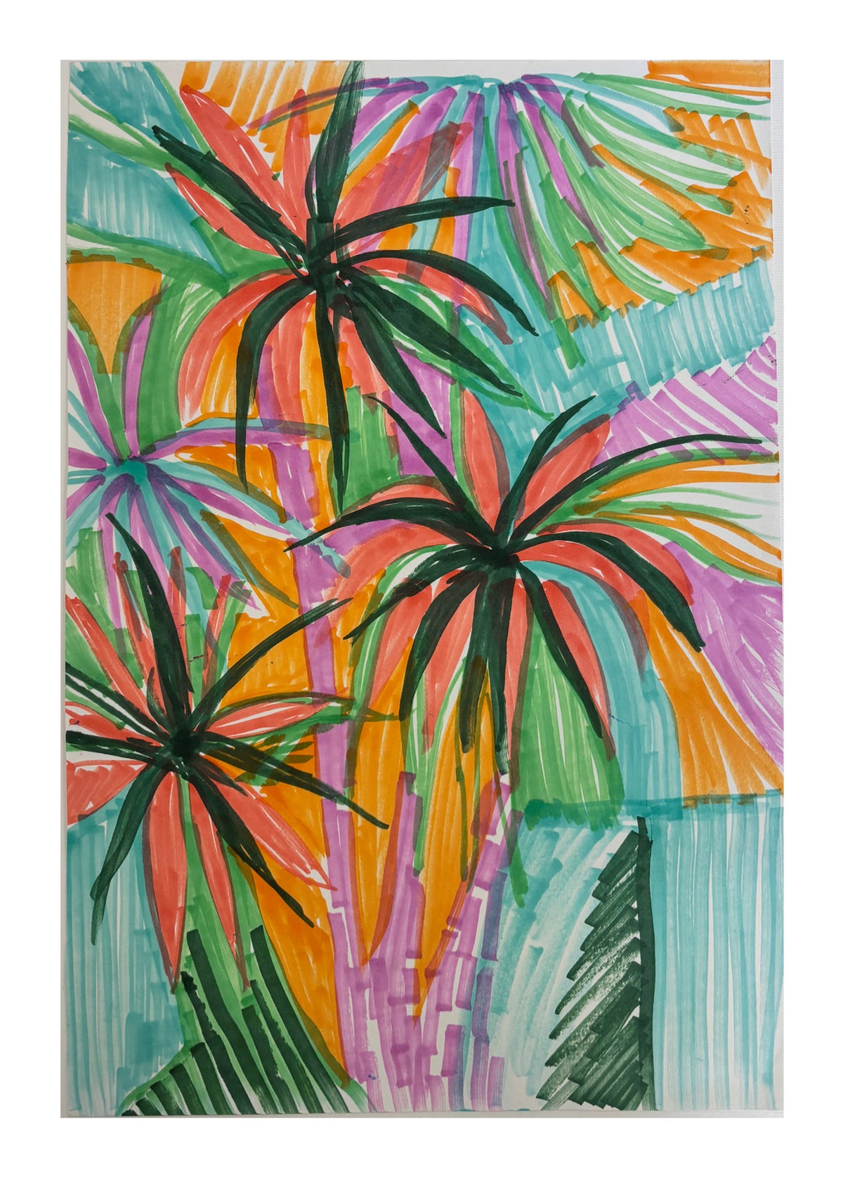 Coral Palms