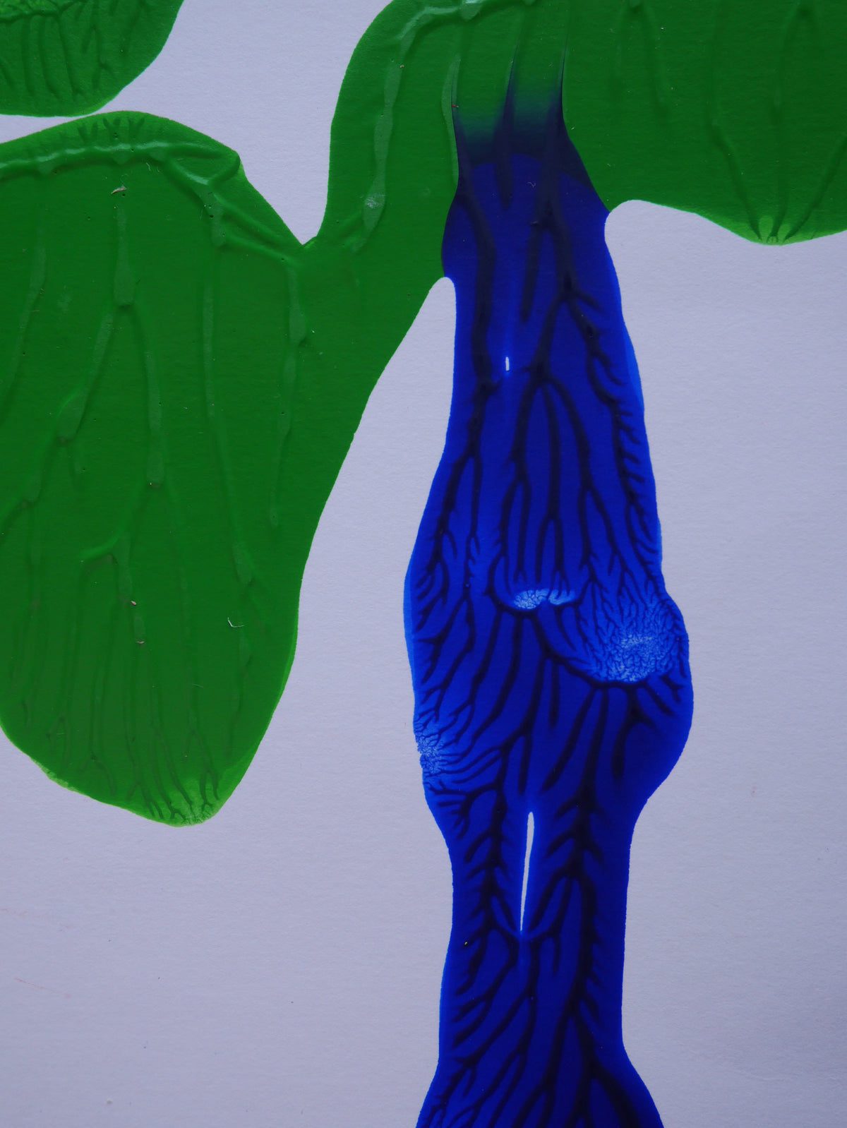 Blue Roots