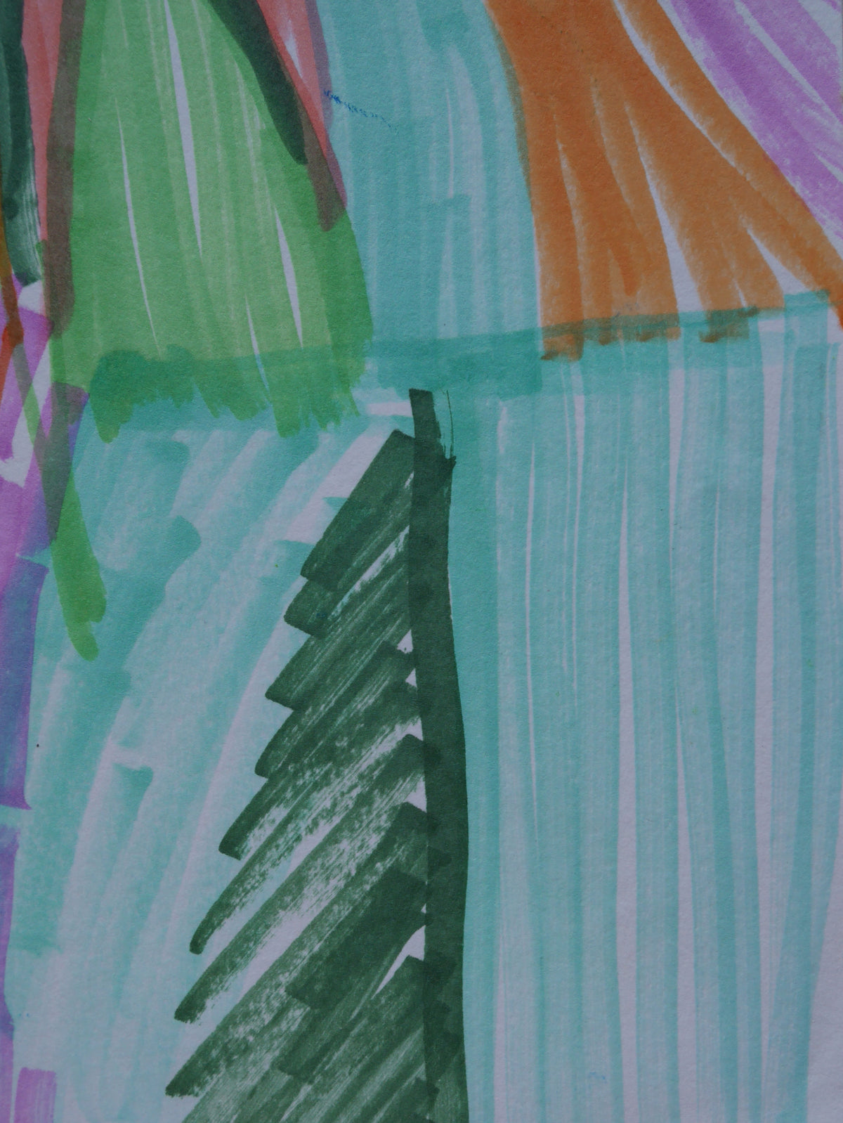 Coral Palms