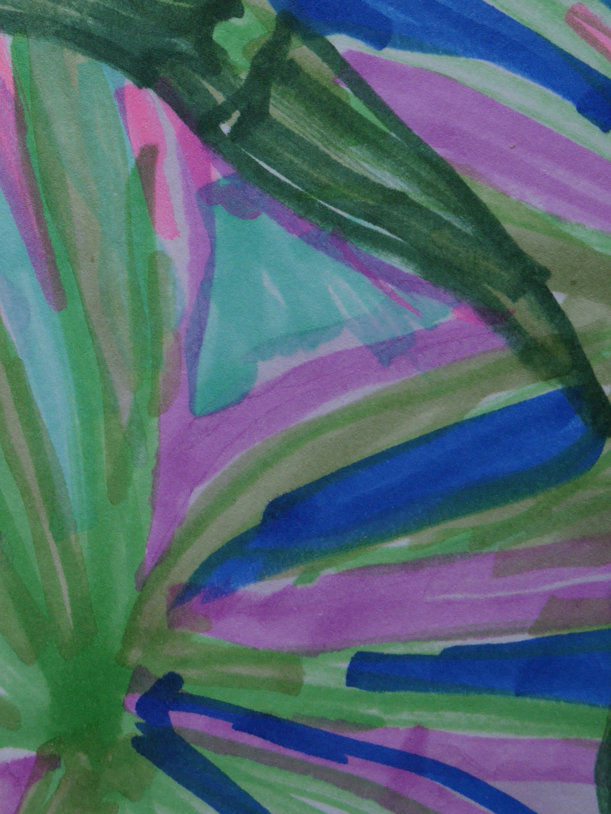 Pink Canopy