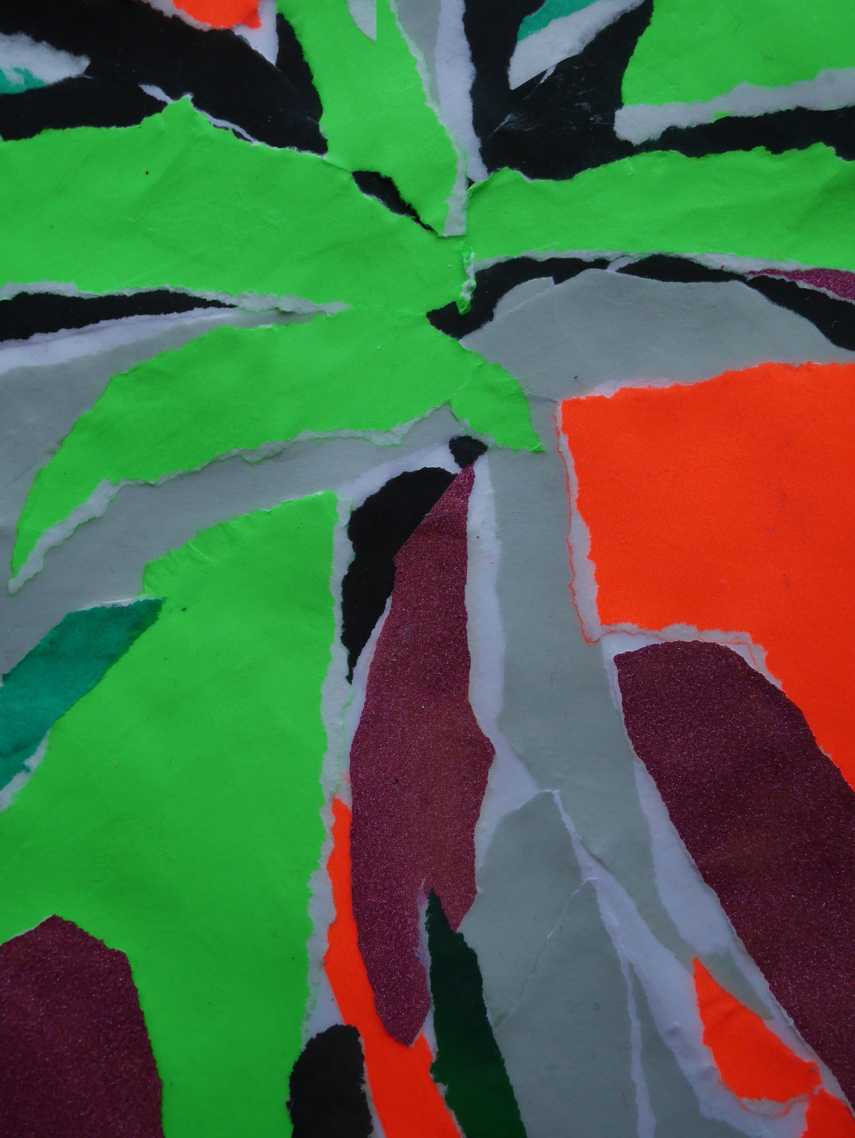 Evening Colour